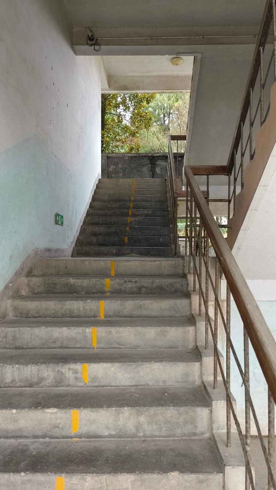 连廊水泥楼梯向上延伸，尽头是室外茂密的树荫与天光